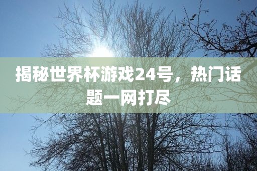 揭秘世界杯游戏24号，热门话题一网打尽