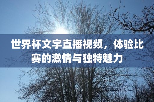 世界杯文字直播视频，体验比赛的激情与独特魅力