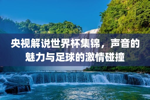 央视解说世界杯集锦，声音的魅力与足球的激情碰撞