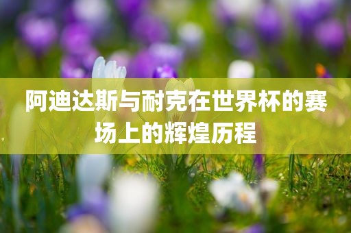 阿迪达斯与耐克在世界杯的赛场上的辉煌历程
