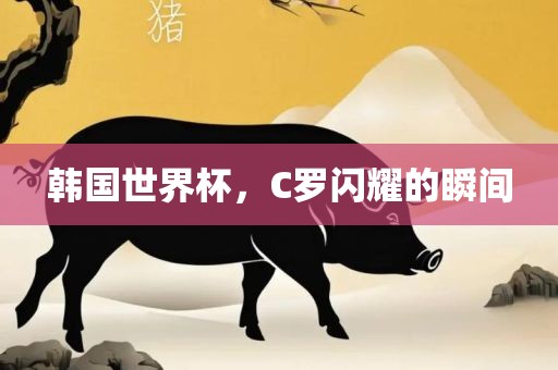 韩国世界杯，C罗闪耀的瞬间