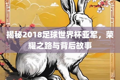 揭秘2018足球世界杯亚军，荣耀之路与背后故事
