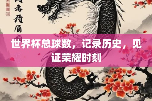 世界杯总球数，记录历史，见证荣耀时刻衡水勇创橡塑制品有限公司