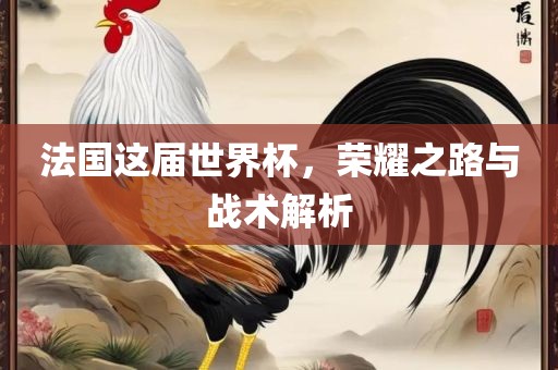 法国这届世界杯，荣耀之路与战术解析