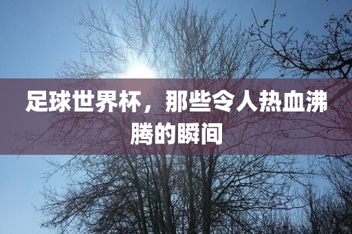 足球世界杯，那些令人热血沸腾的瞬间