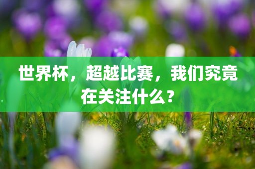 世界杯，超越比赛，我们究竟在关注什么？