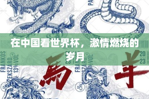 在中国看世界杯，激情燃烧的岁月