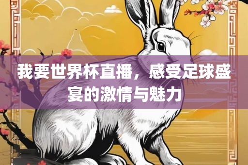 我要世界杯直播，感受足球盛宴的激情与魅力