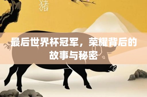 最后世界杯冠军，荣耀背后的故事与秘密