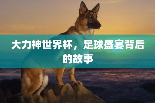 大力神世界杯，足球盛宴背后的故事