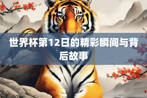 世界杯第12日的精彩瞬间与背后故事