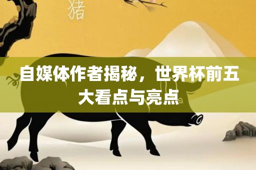 自媒体作者揭秘，世界杯前五大看点与亮点