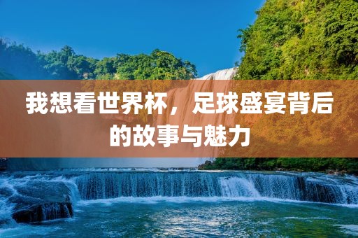 我想看世界杯，足球盛宴背后的故事与魅力