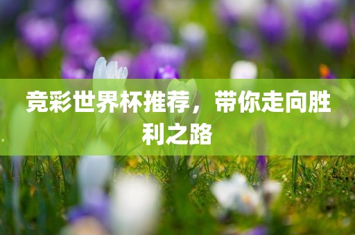 竞彩世界杯推荐，带你走向胜利之路