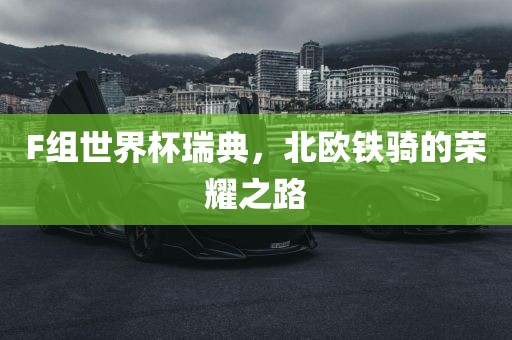 F组世界杯瑞典，北欧铁骑的荣耀之路