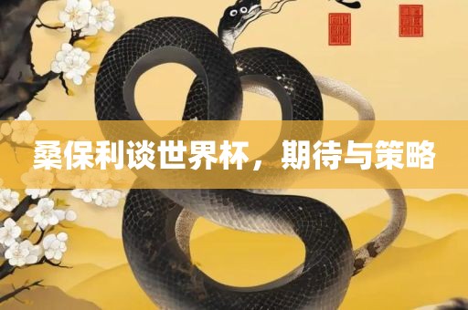 桑保利谈世界杯，期待与策略