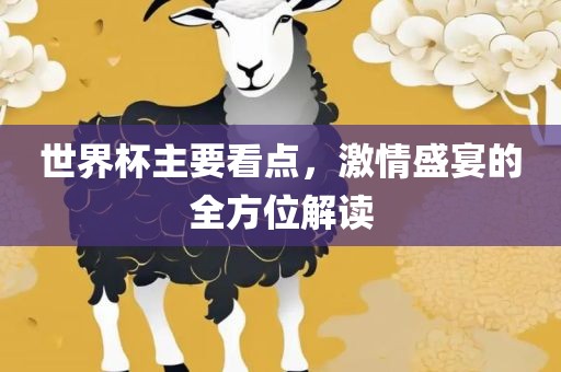 世界杯主要看点，激情盛宴的全方位解读