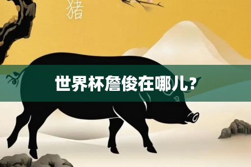 世界杯詹俊在哪儿？