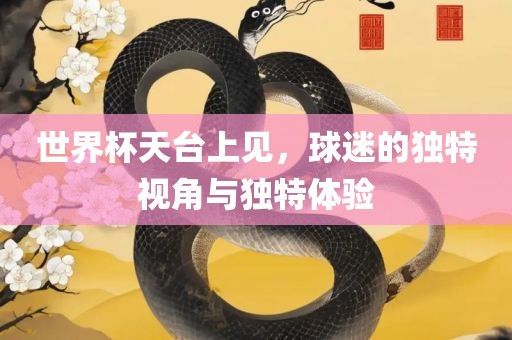世界杯天台上见，球迷的独特视角与独特体验