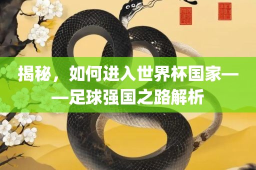 揭秘，如何进入世界杯国家——足球强国之路解析