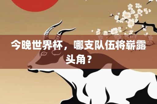 今晚世界杯，哪支队伍将崭露头角？