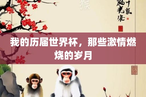 我的历届世界杯，那些激情燃烧的岁月