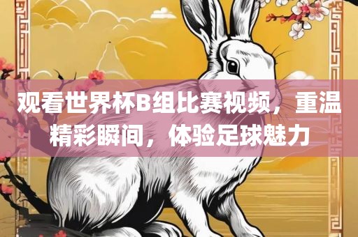观看世界杯B组比赛视频，重温精彩瞬间，体验足球魅力