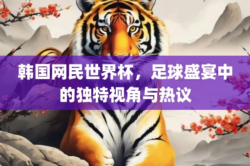 韩国网民世界杯，足球盛宴中的独特视角与热议