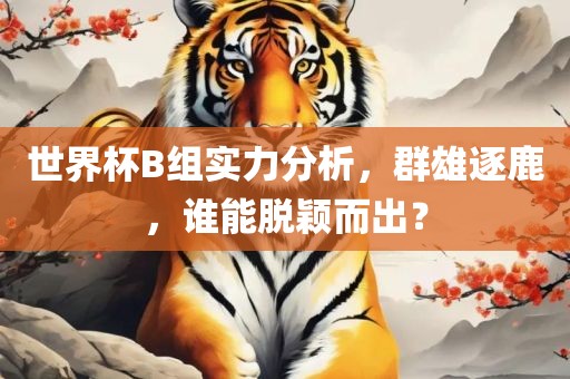 世界杯B组实力分析，群雄逐鹿，谁能脱颖而出？