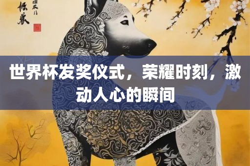 世界杯发奖仪式，荣耀时刻，激动人心的瞬间