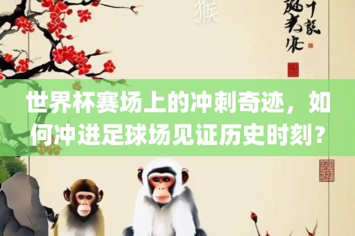 世界杯赛场上的冲刺奇迹，如何冲进足球场见证历史时刻？