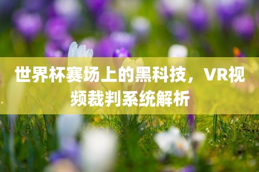 世界杯赛场上的黑科技，VR视频裁判系统解析