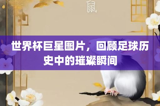 世界杯巨星图片，回顾足球历史中的璀璨瞬间