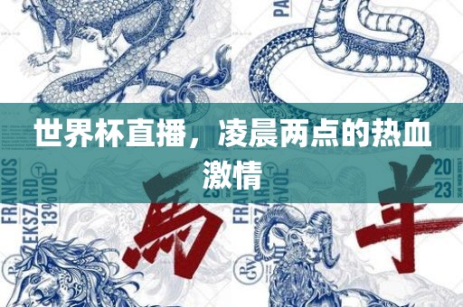 世界杯直播，凌晨两点的热血激情