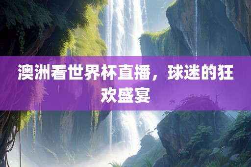 澳洲看世界杯直播，球迷的狂欢盛宴