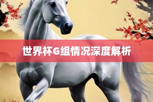 世界杯G组情况深度解析
