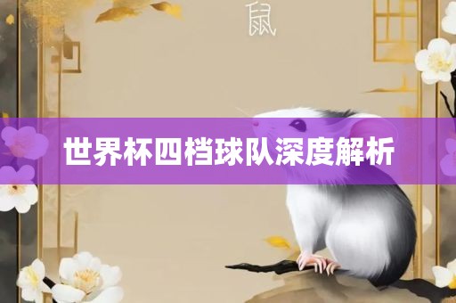 世界杯四档球队深度解析