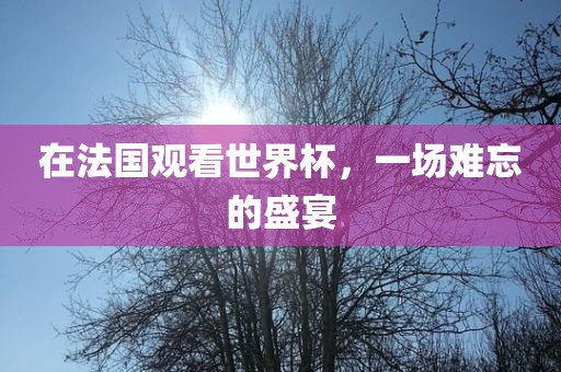在法国观看世界杯，一场难忘的盛宴