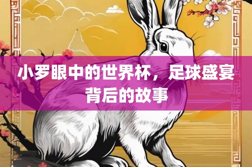 小罗眼中的世界杯，足球盛宴背后的故事