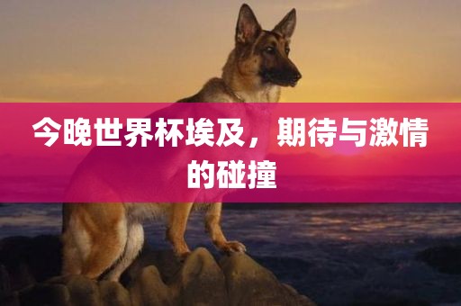 今晚世界杯埃及，期待与激情的碰撞