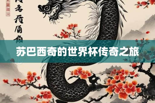 苏巴西奇的世界杯传奇之旅