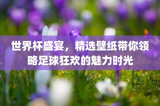 世界杯盛宴，精选壁纸带你领略足球狂欢的魅力时光