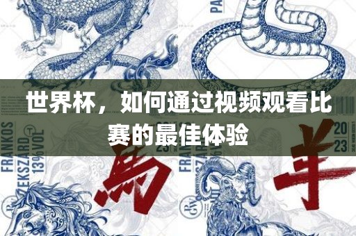 世界杯，如何通过视频观看比赛的最佳体验