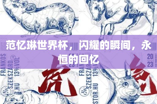范忆琳世界杯，闪耀的瞬间，永恒的回忆