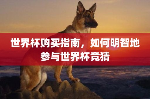 世界杯购买指南，如何明智地参与世界杯竞猜