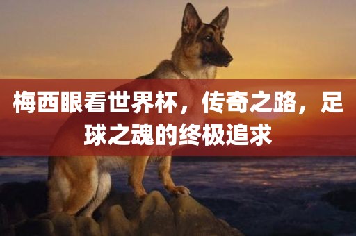 梅西眼看世界杯，传奇之路，足球之魂的终极追求