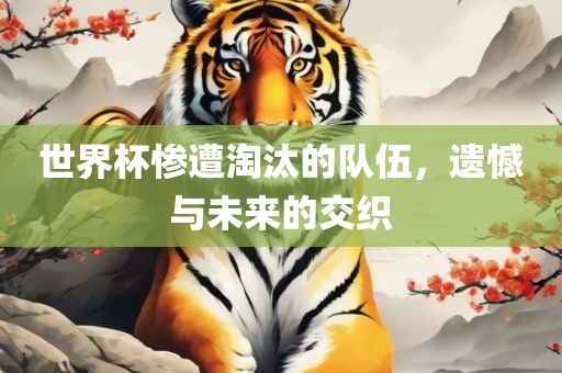 世界杯惨遭淘汰的队伍，遗憾与未来的交织