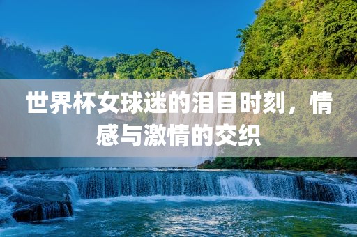世界杯女球迷的泪目时刻，情感与激情的交织