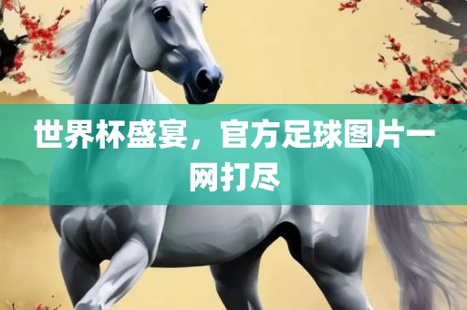 世界杯盛宴，官方足球图片一网打尽