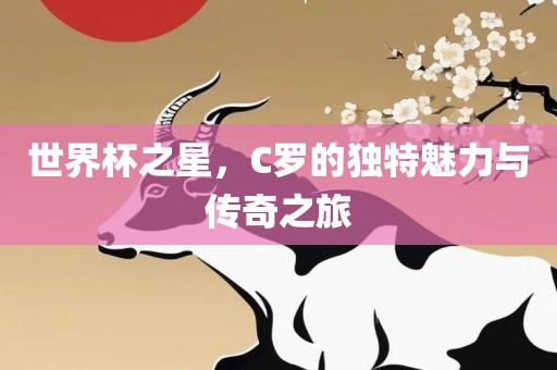 世界杯之星，C罗的独特魅力与传奇之旅